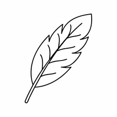 Obraz premium Sage Leaf Vector Outline