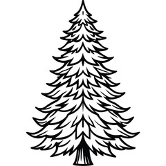 Fir Tree line art vector