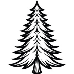 Fototapeta premium Fir Tree line art vector