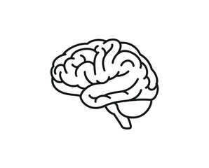 Human brain ,mind ,thinking, dea, knowledge, memory icon representing intelligence isolated on white background