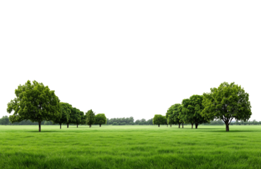 Panoramic view of densely forested green mountains under a bright sky isolated on transparent background