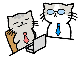 Two grey office cats sitting at a desk, working together on a laptop. One looks relaxed while the other offers help, showing teamwork or mentorship.