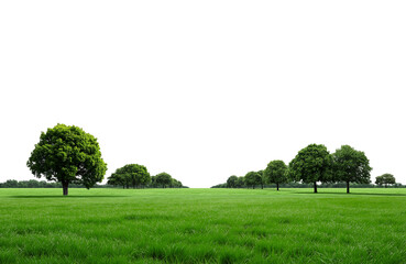 Panoramic view of densely forested green mountains under a bright sky isolated on transparent background