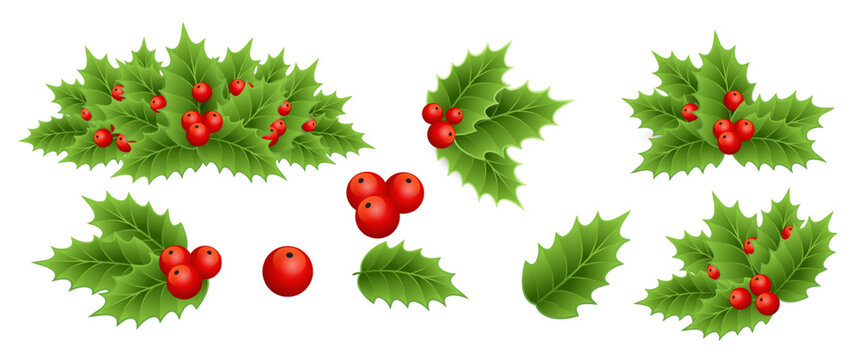 Holly berry colorful vector border