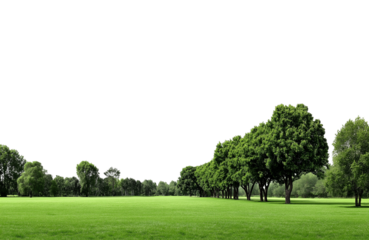 Panoramic view of densely forested green mountains under a bright sky isolated on transparent background