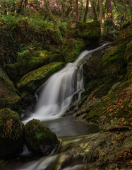 Fototapeta premium Waterfall and reflections in mountain stream