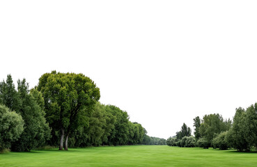 Fototapeta premium Panoramic view of densely forested green mountains under a bright sky isolated on transparent background