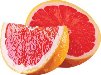 Red Grapefruit Halves and Slice Vibrant Citrus Fruit Illustration