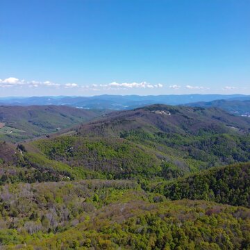 Mountain vista with lush forests