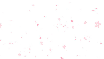 Fototapeta premium Falling pink cherry blossom petals and flowers scattered in the air. Beautiful sakura floral overlay element for spring season designs. Isolated graphic resource with a transparent background.