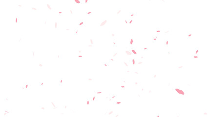 Pink cherry blossom petals gently falling down, creating a beautiful and romantic shower of sakura flowers. This realistic isolated overlay element features a transparent background for easy use.