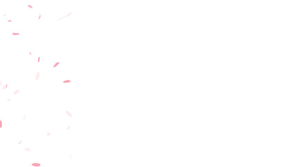 Falling pink cherry blossom petals, sakura flower confetti effect. Romantic spring season design element for decoration, overlay or composition. Isolated image with transparent background. Copy space.