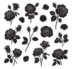 Collection of detailed black ink floral illustrations featuring various stages of rose blossoms and petals isolated on transparent background