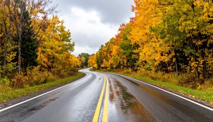 Fototapeta premium Scenic Autumn Road: Winding Asphalt Path Through Golden Forest