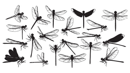 Collection of diverse dragonfly silhouettes in various flying and perched poses isolated on transparent background for artistic design elements © SaHeD