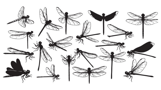 Collection of diverse dragonfly silhouettes in various flying and perched poses isolated on transparent background for artistic design elements