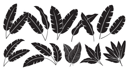 Collection of diverse stylized black tropical banana leaves and feathers with textured details isolated on transparent background