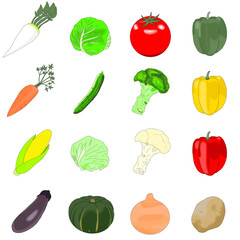 新鮮な野菜の集合イラストセット