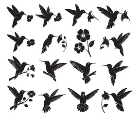 Collection of silhouettes of hummingbirds in various flight poses and feeding on flowers isolated on transparent background