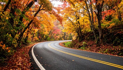 Scenic winding road through vibrant autumn forest with colorful foliage