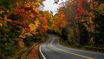 Winding Autumn Road Through Vibrant Fall Foliage