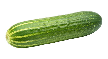 Isolated Fresh Green Cucumber