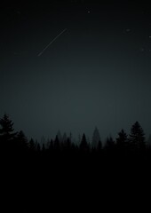 Naklejka premium starry night sky