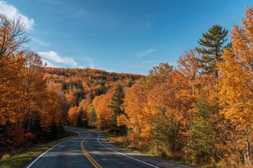 Fototapeta premium Autumn Road Stretch in Landscape Orientation