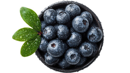 Fresh organic blueberries in a bowl with water droplets top view isolated on a Transparent background, PNG file.