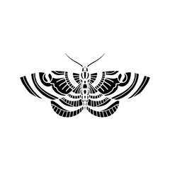 moth in black and white isolated on white background. black and white butterfly