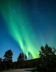 Northern Lights over a forest road at night
