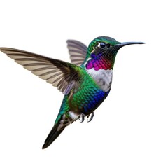 Fototapeta premium Colorful hummingbird in flight isolated on white background