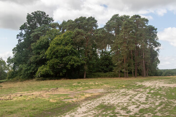 Yateley Common in Hampshire United Kingdom