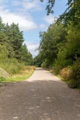 Yateley Common in Hampshire United Kingdom