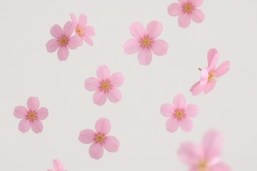 Three-dimensional pink blossoms featuring five petals and a yellow core drifting at various angles