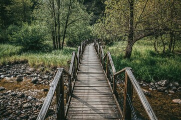 Obraz premium A rustic timber footbridge spanning a creek to avoid floodwaters, featuring a natural summer design and textured pattern with grass and wood elements