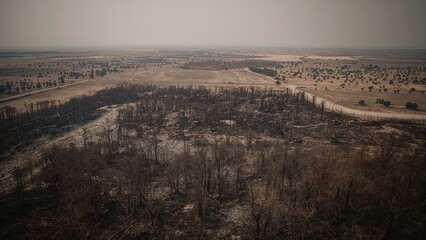 Bird's-eye perspective of a fire-ravaged landscape. Burned woodlands and agricultural land devastated by flames. Catastrophic event, damaged region.