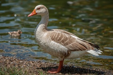Alopochen aegyptiacus: A Waterfowl Species in Natural Habitat with Offspring