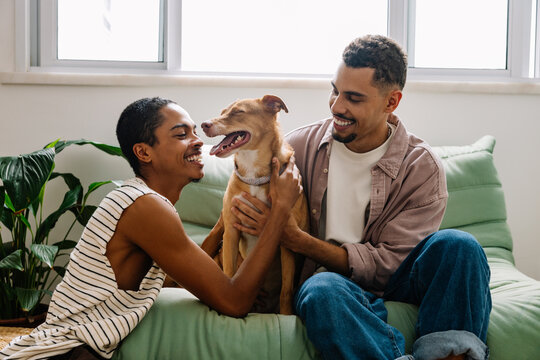 Gay couple bonding with caramel rescue dog at home - Powered by Adobe