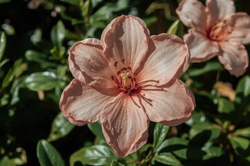 A clay-crafted flower appears stunning