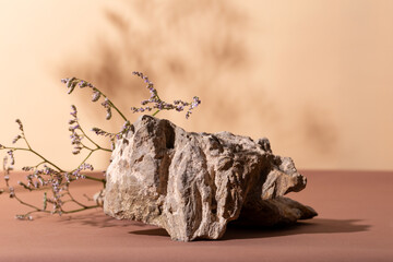 Stone on a beige and brown background with beautiful branch shadows and dry flowers. Cosmetic product mockup