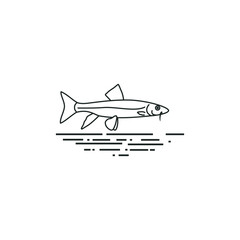 fish line logo EPS template icons vector illustration transparent background