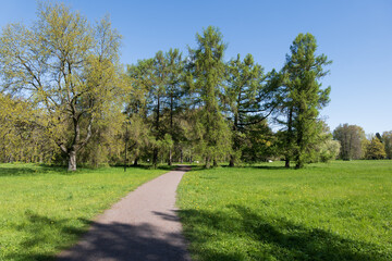 Obraz premium Kadriorg Park In Tallinn, Estonia
