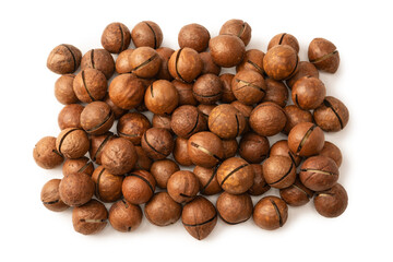 Macadamia nuts in a shell isolated on a white background.