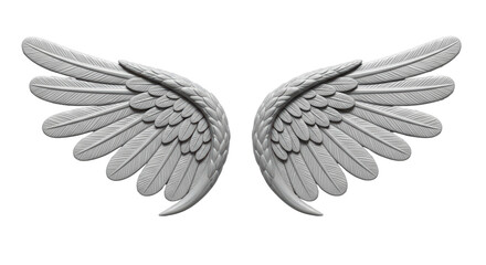 Isolated Angel Wings