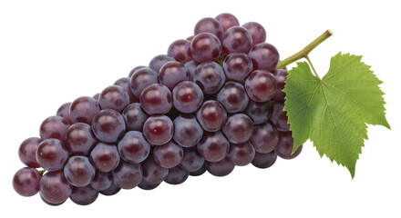 Isolated Red Globe Grapes Bunch