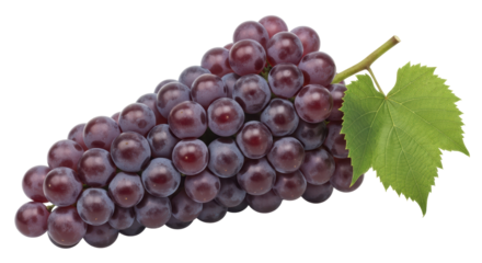 Isolated Red Globe Grapes Bunch