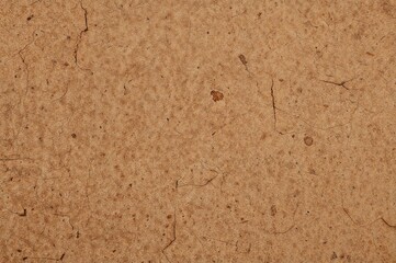 Close-up of a textured cork oak sheet with a rugged grain pattern, ideal for decorative panels and wall coverings. Overhead perspective. Image.