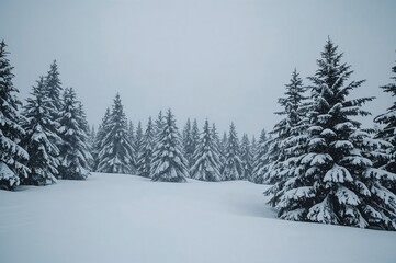 Fototapeta premium A winter vacation landscape created with AI generation tools