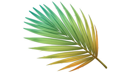 Fototapeta premium Isolated Palm Leaf